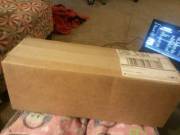 Told One Of My Buddies I Got A Golden Dog Cock That Jizzes. He Asked, &Amp;Quot;What ...