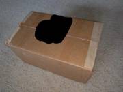 Exotic Erotic Order Arrived! Just Waiting For New Bad Dragon Items, So Have A Family ...