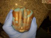 My Turquoise Sugar Star Arrived, She's Beautiful!