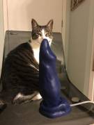 Saw Someone Posted Their David; Here's Mine With A Derpy Cat