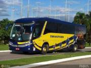 Someone Told Me I Should Post Pictures Here