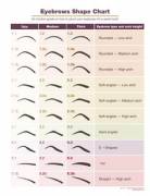 Eyebrow Shape Chart. Get The Sexier Look!