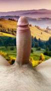 Pristine Scenic View Of My Erection