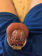 10 Days Locked In The New Cage