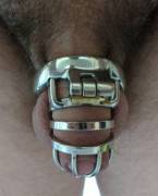 New Cage! Instantly Fell In Love