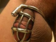 My Keyholder Is Traveling Today So She Decided Last Night She Wanted A Little More ...