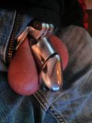 New Cage; Most Comfortable Yet. Have To Display All Day Today. Miss Says It Stays ...