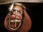 I Think This Might Be My Favorite Picture Yet