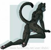 Small Album Of Butts (Various Artists)