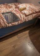 The Aftermath Of A 3 Hour Edging Session. Anybody Willing To Help Me Clean This Mess?