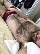 The Wind In The Willows