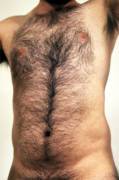A Hairy Chest Right Before It Tackles You!