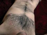 It Really Seems Like My Pic Will Fit Nicely Here