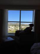 A Little Drunk From The Hotel Bar. Why Don't You Come Upstairs With Me?