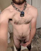 Got An Addition For My Collar! I'm Such A Lucky Boy.