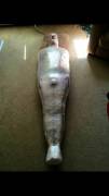 Saran Wrap Mummification And Chastity :)