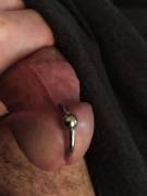 Piercing Is Healing Great. Counting The Days Till I Can Stretch It And Lock It.