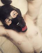 Who's A Good Boy ;) Instagram: Beau_The_Pupp