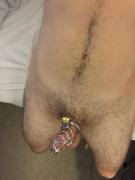 New Cage But Can't Seem To Get Soft