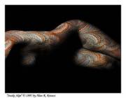 Snake Skin [Body Art, Alt.]