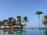 Today's Office ☀️