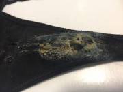 The Grooliest I've Ever Gotten A Pair