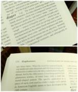 Doing A Little Research 