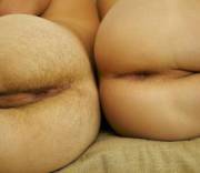 Which Do You Prefer?