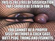 Album Of /U/Thisisfun25