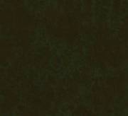 Don't Miss Your Chance To Play With This Bushy Babe On [Kik] 