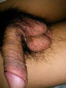 Do You Want To Taste My Hairy Balls? (Or Cock?)