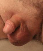 Masturbating The Little Guy -- Would Love Comments Or Pms