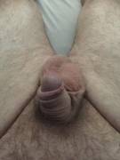 First Time Posting Hope I Fit In... Pms Welcome