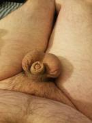 (M)Y Little Guy Is Hiding