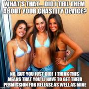 Cat's Out Of The Bag