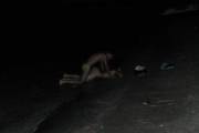 Amateurs Fucking On The Beach In The Night