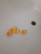 Just To Prove I'm An Authentic Mod