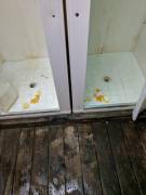 My Friend And I Work At A Scout Camp And Our Staff Has A Long-Standing Tradition ...