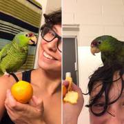 Nietzsche And I Shared Our First Shower Orange!