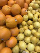 New Here. Which Orange Is Best?