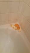 First Shower Orange Experience