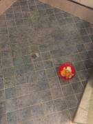 Garden To Shower, &Amp;Amp;Amp; Back To Garden