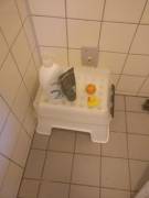 Does Other Citrus Fruits Count?