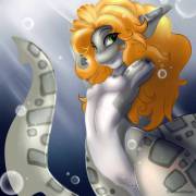 [F] Shark In The Water