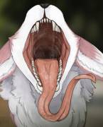 &Amp;Quot;Looks Inviting&Amp;Quot; [Furry][Oral][Maw]