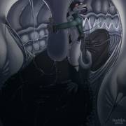 &Amp;Quot;Oral Attraction&Amp;Quot; [Furry][Oral][Soft][M/M]