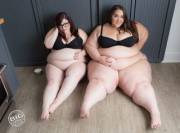 One Is Not The Same As The Other