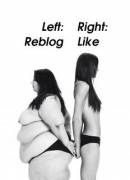 Who Is The Beauty On The Left?