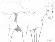 Equine Pussy To Match Sweet Equine Cock (Album - 10 Images, [M] [F] [Coed] More Details ...