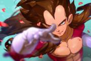 Vegeta Album